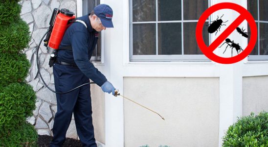 Arnavutköy Uçan Haşere İlaçlama böcek ilaçlama ve haşere kontrolü — ilaclama-tr.com